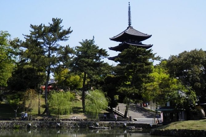 Nara Private Tour by Public Transportation from Osaka - The guide experience: what the reviews point to most