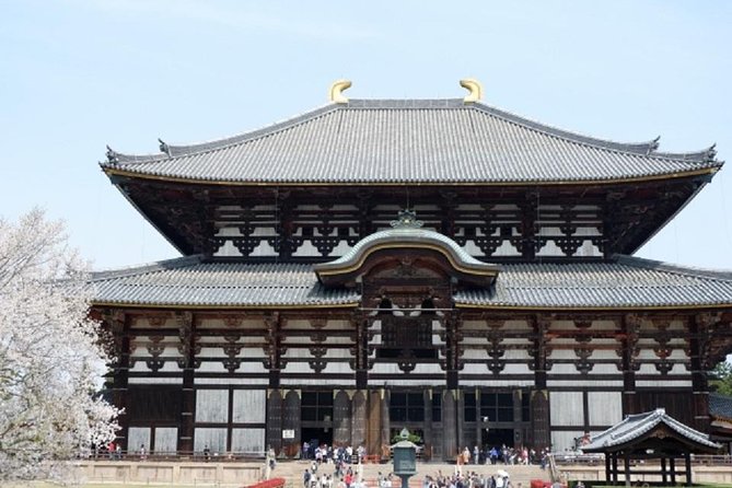Nara Private Tour by Public Transportation from Osaka - Todai-ji Temple: the Great Buddha Hall and the scale check