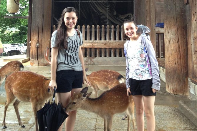 Nara private tour (Shore excursion available from Osaka or Kobe port) - Todai-ji Temple: World-Scale Wood and the Big Buddha Moment