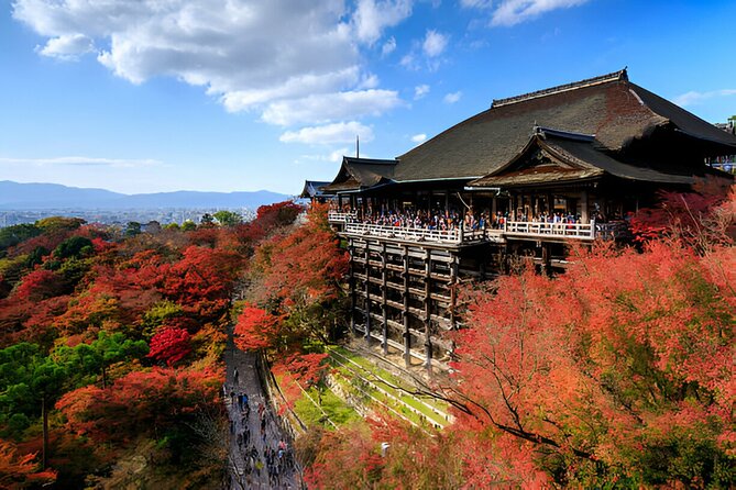 Nara Private Tour with Pick and Drop and English Speaking Driver - Should You Book This Nara Private Tour?