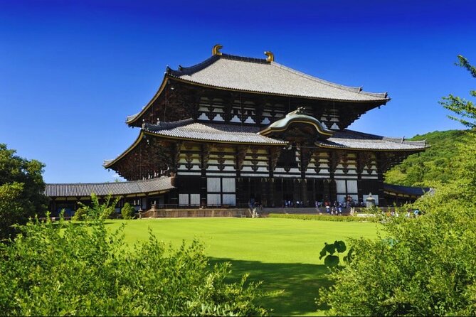 Nara, Todaiji Temple & Kuroshio Market Day BUS Tour from Osaka - Getting There From Osaka: The 8:30 Departure and 10-Hour Reality