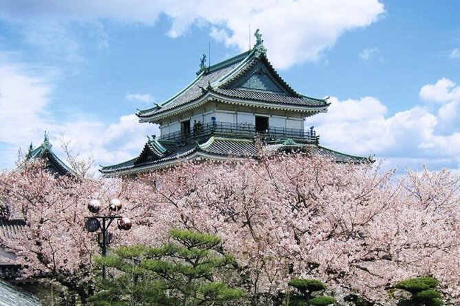 Nara, Todaiji Temple & Kuroshio Market Day BUS Tour from Osaka - Should You Book This Osaka to Nara Day Trip?