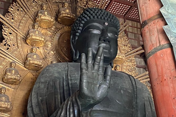NARA Walking Tour [Customize Your Itinerary] - Kasuga Taisha, Kofuku-ji, and the Fujiwara influence