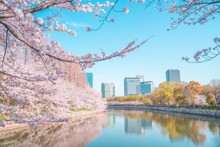 Osaka: 1-Day Private Customizable Trip by Car - A 9-Hour Osaka Day Built Around Your Pace