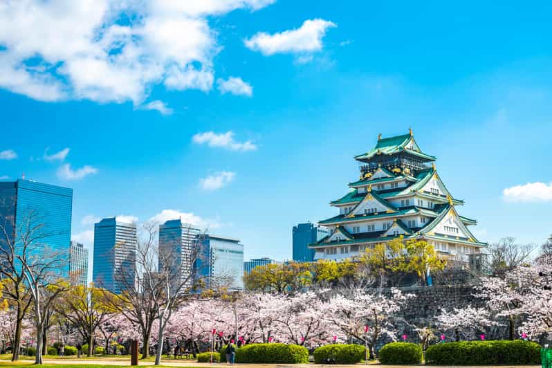 Osaka: 1-Day Private Customizable Trip by Car - Shitennoji Temple for About 1 Hour: Calm After the Landmark