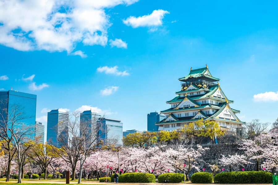 Osaka: 1-Day Private Customizable Trip by Car - How the Private Car Changes Everything (and What It Costs)