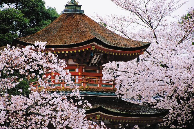 Osaka and Kansai Private Customized Day Tour - Choosing Between 7 and 10 Seats, and Why It Matters