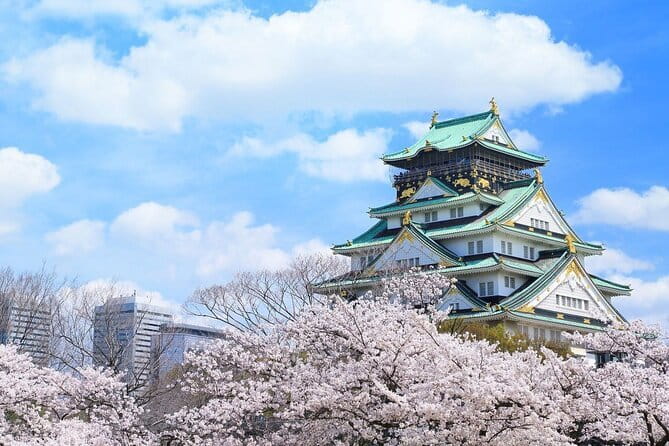 Osaka and Nara Attractive One Day private Tour - Osaka to Nara in One Day, and Why the Mix Makes Sense
