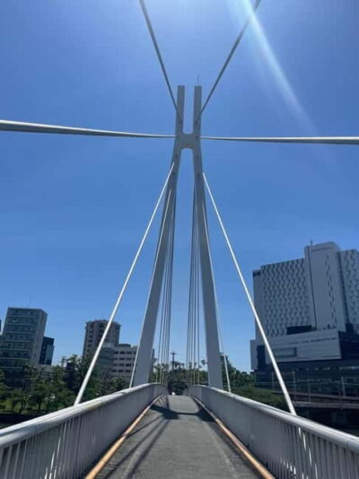 Bike Adventure with Lunch