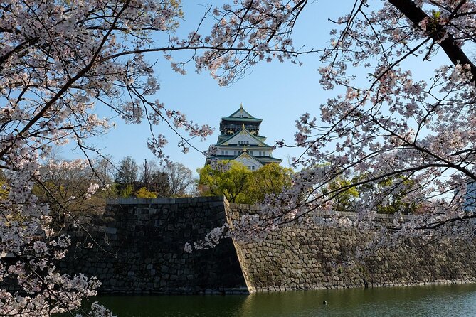 Osaka Castle Admission Ticket - Observation deck views: when and how to get good photos