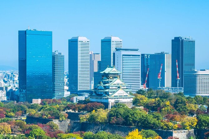 Osaka Castle Admission Ticket - Osaka Castle grounds: Hideyoshi’s goal, moats, and views