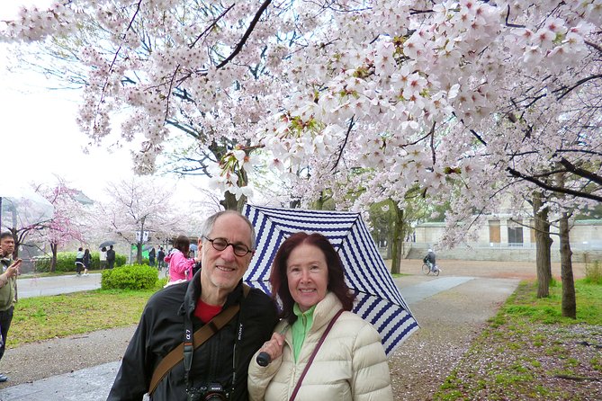 Osaka Castle and Sumiyoshi Taisha Shrine Private Half-Day Tour - What might change: order swaps and plan B options
