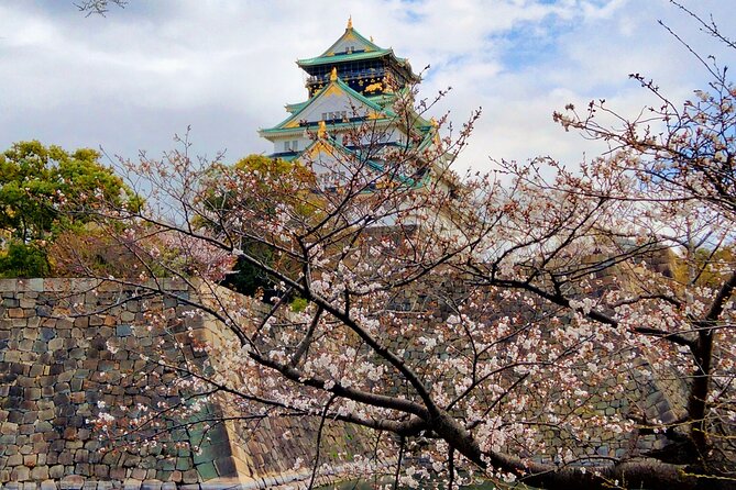 Osaka Castle Hidden Gems Walking Tour + Multilingual Audio Guide - Osaka Castle walking tour with a small group and a local host