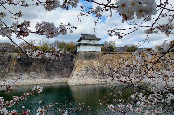 Osaka Castle Hidden Gems Walking Tour + Multilingual Audio Guide - Price and value: $19.64 for a hosted, multilingual Osaka Castle viewpoint walk