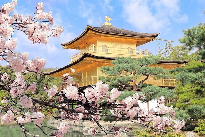 Osaka Castle & Samurai History Walking Tour - The Tour Guide Makes the Difference