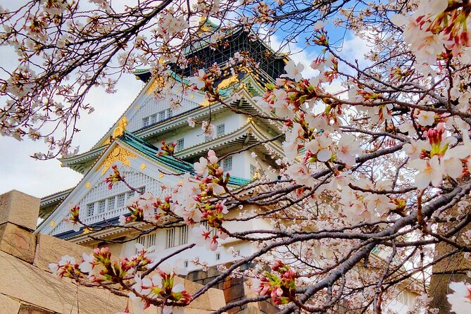Osaka Castle & Temple Walking Tour with Multilingual Audio Guide - Key highlights to know before you go