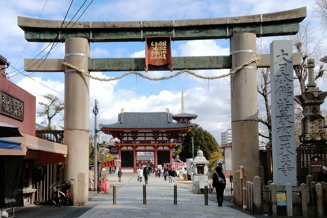 Osaka Castle & Temple Walking Tour with Multilingual Audio Guide - Meeting Point, Start Time, and How the Pace Feels