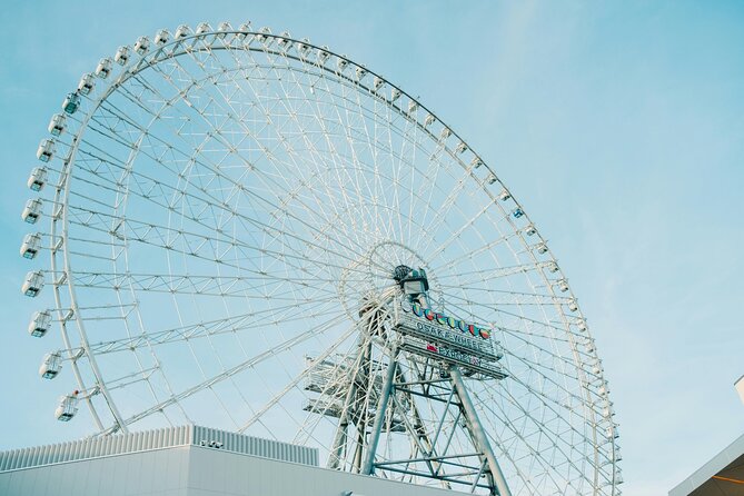 Osaka Commemorative Park Walking Tour - Stop 5: Redhorse Osaka Wheel in EXPOCITY, 30 minutes and panoramic payoff