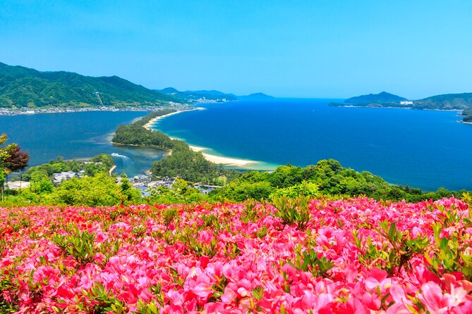 Osaka Day Tour: Amanohashidate & Ine Bay - Key Things I’d Plan Around