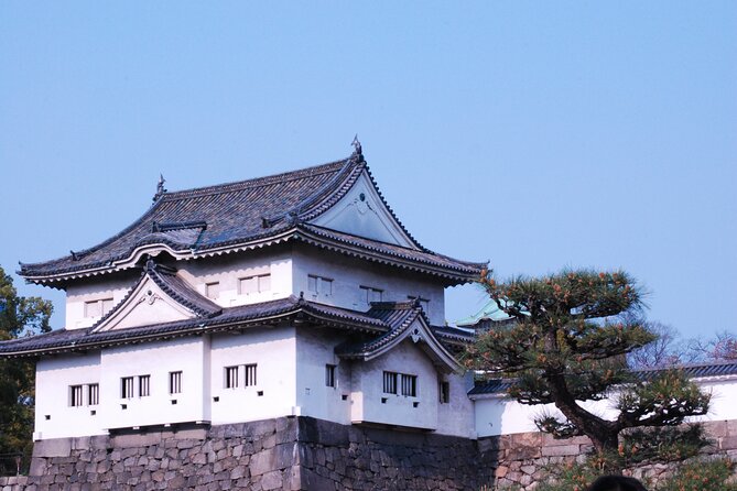 Osaka: Explore Osaka Castle Guided Tour - Logistics reality check: when meeting points go wrong