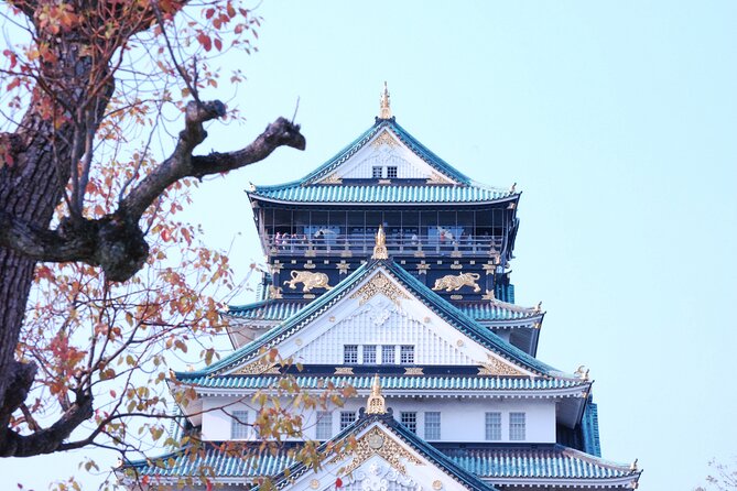 Osaka: Explore Osaka Castle Guided Tour - Who should book this Osaka Castle guided tour