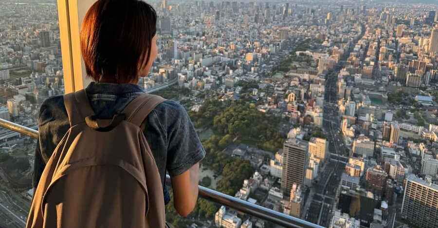 Osaka: Explore the Spiritual and Modern Sides of Osaka - Price and Value for Four Hours With Admissions