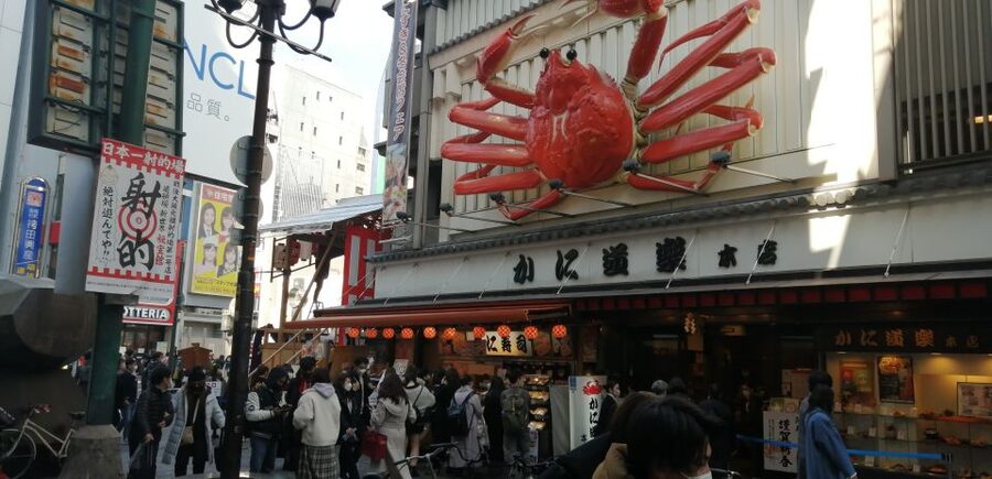Osaka: Five Must-See Highlights Walking Tour & Ramen Lunch - Key things I think you should care about