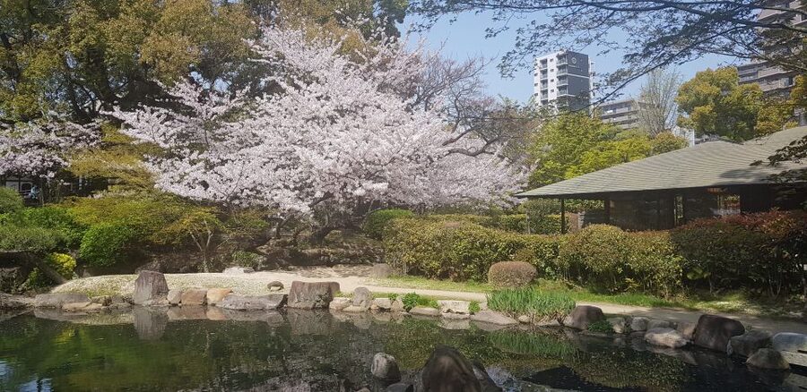 Osaka: Full-Day Sightseeing Tour by Private Vehicle - Shinsekai: street games, food culture, and Osaka’s sense of style