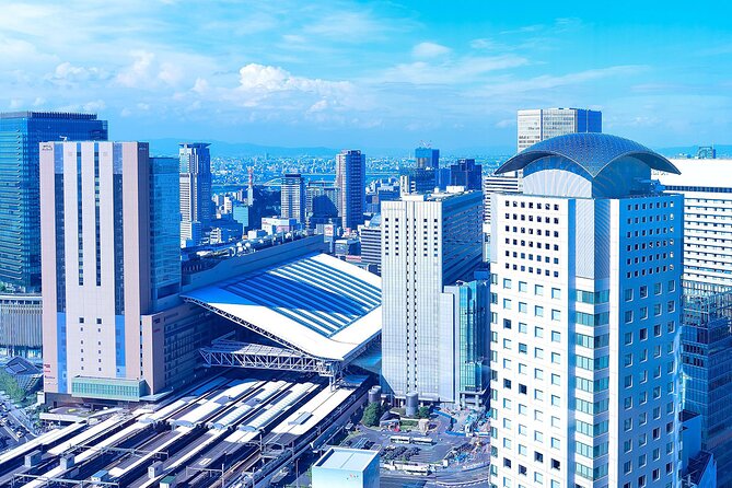 Osaka Full Day Walking Tour with Local Expert Guide - Dotonbori, Shinsaibashi-suji, and Kuromon Market for food-first Osaka