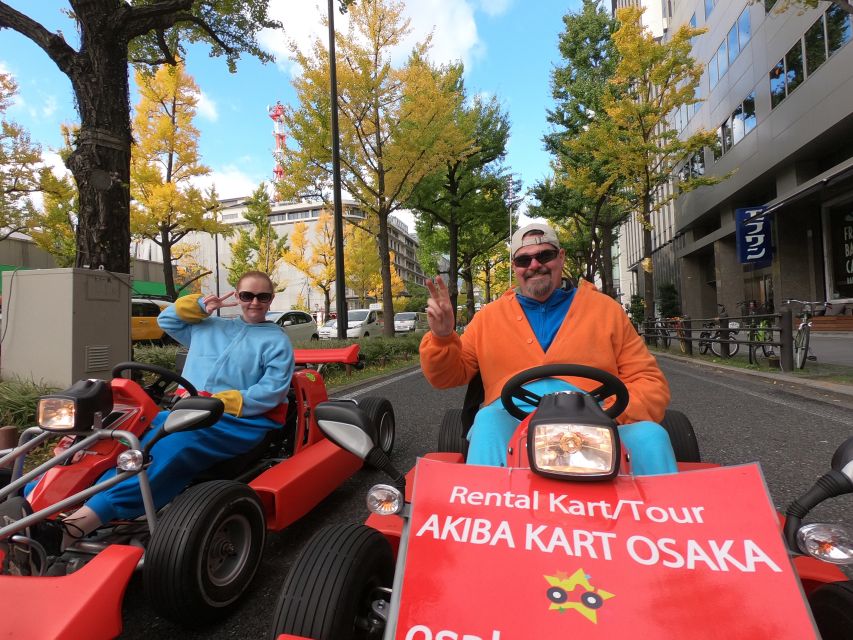 Osaka: Guided Go Karting Tour in a Funny Costume - Driving safety on public roads: how the guides keep it fun