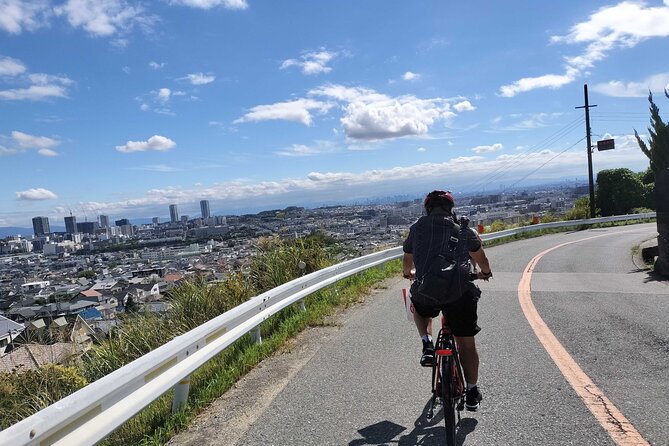 Osaka Half-day E-bike Adventure: Minoh Falls & Katsuoji Temple - Key Points You’ll Care About