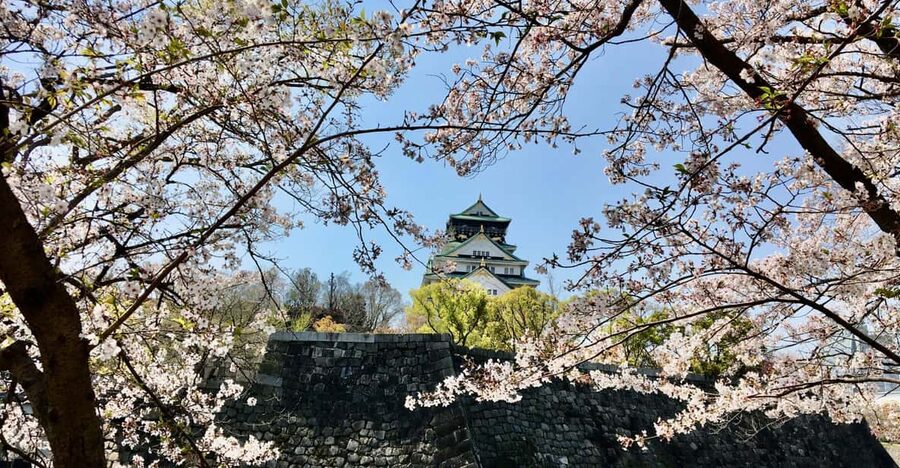 Osaka: Half-Day Private Guided Tour of the Castle - Osaka Castle grounds: the main visit and what to do with the museum time