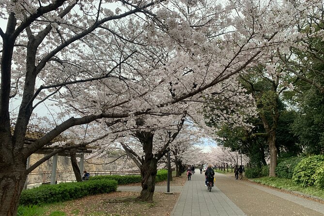 Osaka Highlights: 4Hrs Guided Walking Tour with a Native Expert - Meeting up at 7-Eleven Tanimachi, then walking with purpose