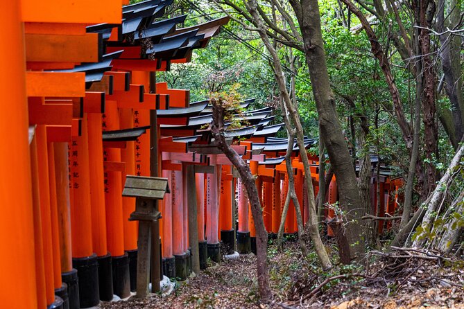 Osaka/Kyoto: Arashiyama, Fushimi Inari & Nara Park Day Trip - The Bamboo Forest walk: what to expect and what to notice