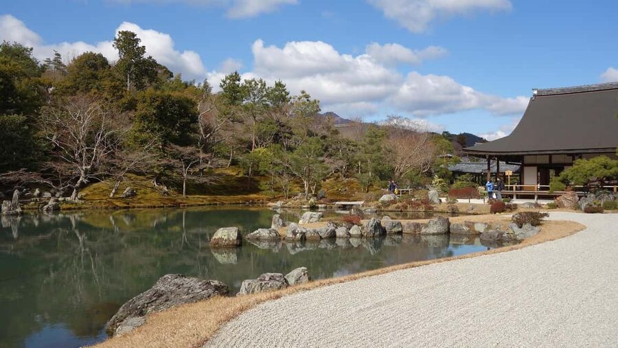 Osaka/Kyoto: Arashiyama, Nara Park, Fushimi Shrine Tour - Who this tour is best for
