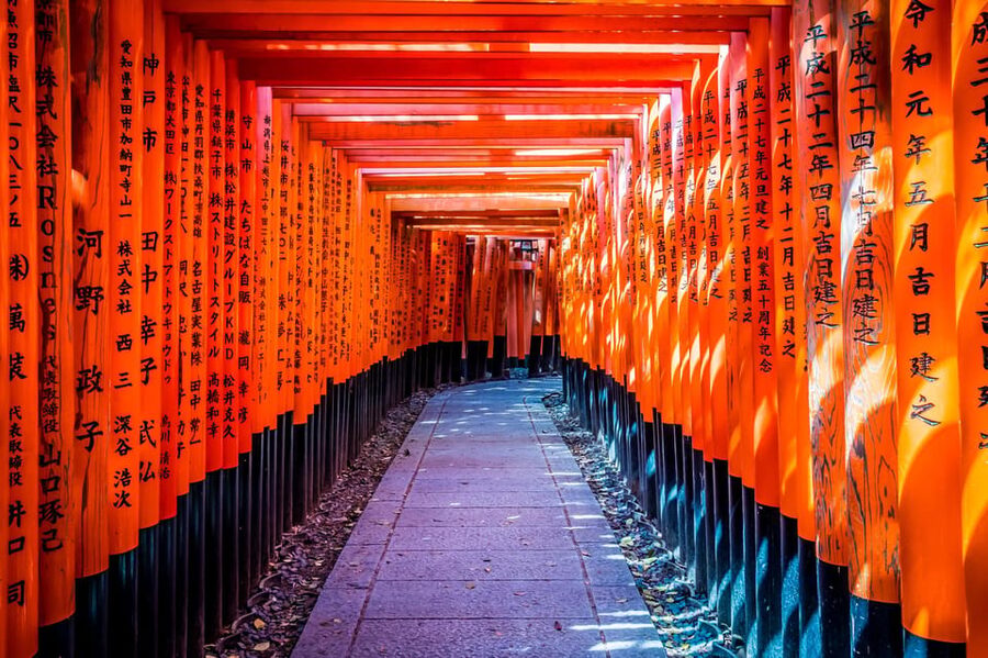 Osaka/Kyoto: Arashiyama, Nara Park, Fushimi Shrine Tour - Price and what you actually get for $51