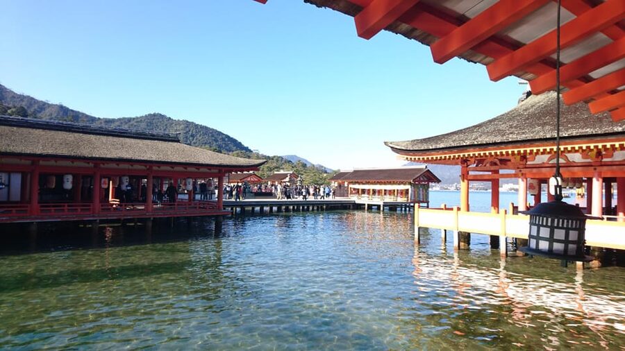 Osaka/Kyoto: Hiroshima Miyajima Bus Tour & Shinkansen Ticket - A Long Day Built Around Shinkansen Plus Bus