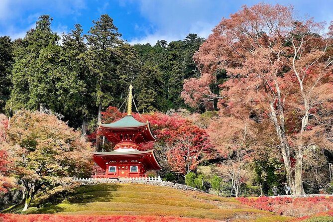 Osaka / Kyoto: Katsuoji, Arashiyama & Kinkaku-ji One Day Tour - Nonomiya Shrine and Tenryu-ji: classic Kyoto spirituality with context