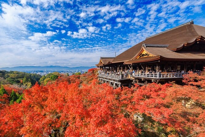 Osaka / Kyoto: Kinkaku-ji, Kiyomizu-dera Temple, Sannenzaka & Uji - Murasaki Shikibu Statue, Uji Park, and the Slower Side of Riverside Uji