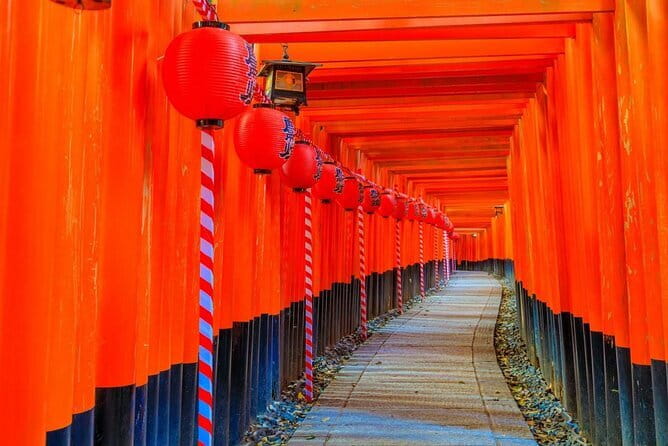 Osaka & Kyoto & Nara Top Hightlights English Speaking Tour - Nara Park Deer Time and a Todai-ji Quick Visit