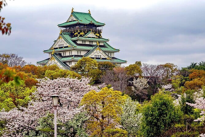 Osaka & Kyoto & Nara Top Hightlights English Speaking Tour - The Guide Experience: Great When You Want It, Thin When You Don’t