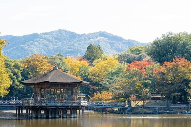 Osaka & Kyoto & Nara Top Hightlights English Speaking Tour - Should You Book This Osaka, Kyoto, Nara Highlights Tour?