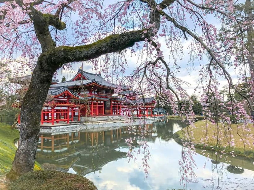 Osaka: Kyoto & Nara & Uji Historical and Scenic One-Day Tour - Why This One-Day Route Hits Nara, Uji, and Fushimi Inari