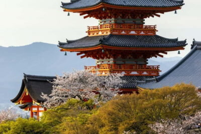 Kyoto & Uji Historical Sites and Scenic Delights Tour