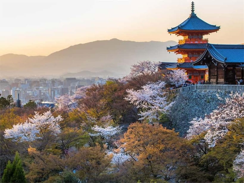 Osaka: Kyoto & Uji Historical Sites and Scenic Delights Tour - Byodo-in Temple and the Phoenix Hall 10-yen Coin Connection