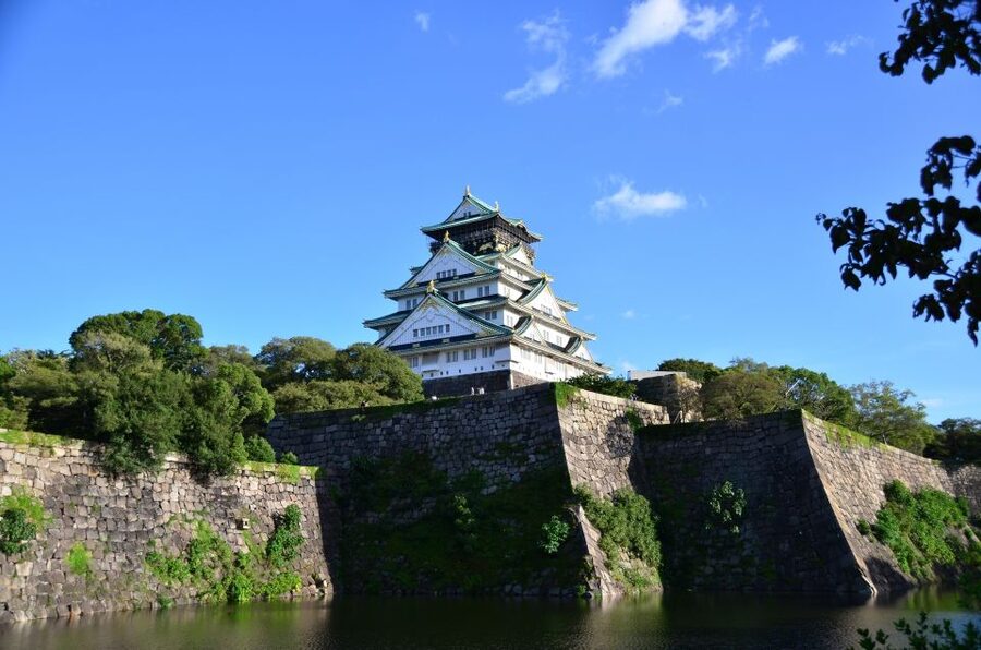 Osaka: Main Sights and Hidden Spots Guided Walking Tour - Key Points You Should Know Before You Go