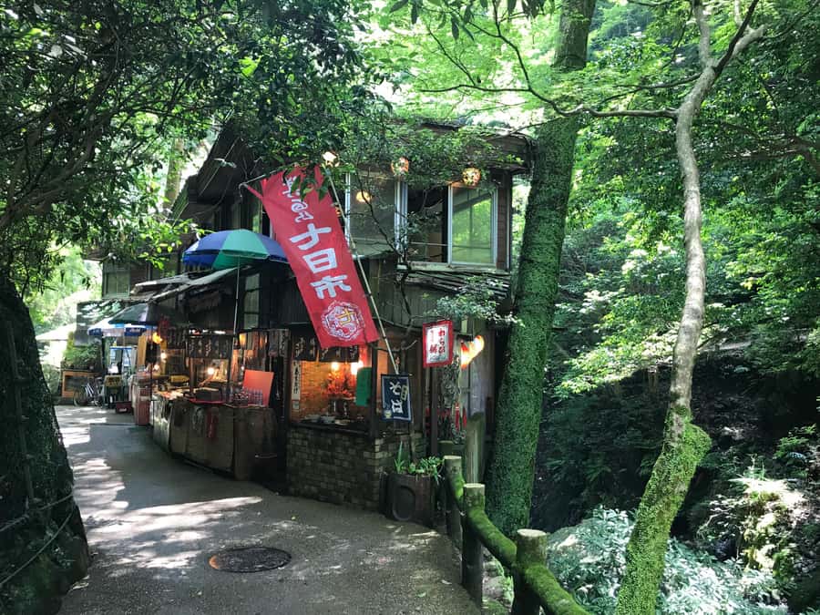 Osaka: Mino Forest Walk and Giant Waterfall with Local Lunch - The Forest Hike and the 33m Mino Waterfall Moment