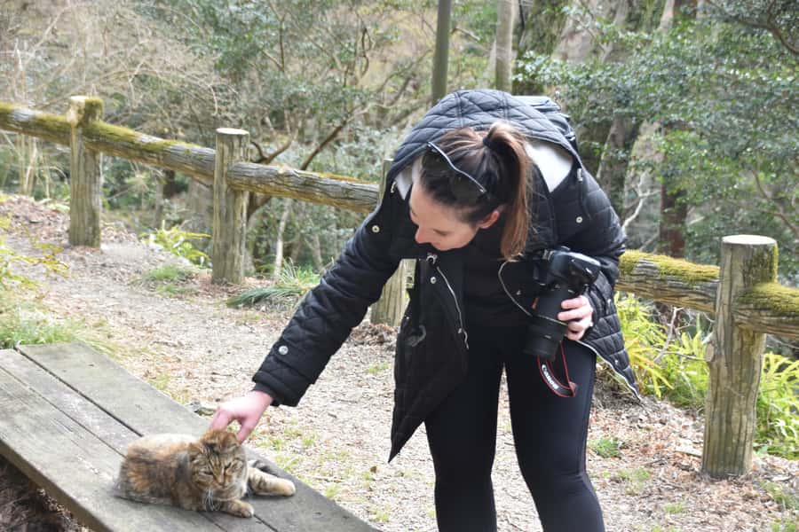Osaka: Mino Forest Walk and Giant Waterfall with Local Lunch - Drinks, Snacks, and the Small Details That Make It Feel Guided