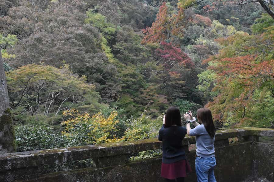 Osaka: Mino Forest Walk and Giant Waterfall with Local Lunch - Meeting the Guides in English, and Why That Matters for Your Day