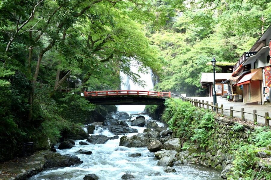 Osaka: Minoh, Katsuoji Temple, & Minoh Falls Full-day Tour - How the tour uses public transit (and why that matters)